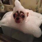 Los baños siempre despiertan mi creatividad.