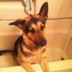 Ya estoy demasiado grande para esto