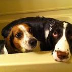 No estamos de acuerdo, pero estamos juntos en esto.