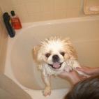 ¡Me encanta como me veo!