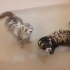 ¿Esto es todo? Los baños realmente no son tan terribles como dicen.