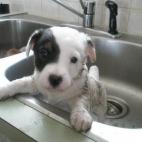 Prefiero estar sucio...