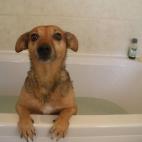 Es mejor que haga un trato antes que esto vuelva a pasar