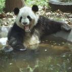 ¿Tienen de estas copas que vienen con pequeñas sombrillas?
