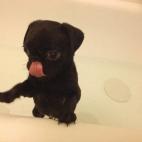 Y un poco asustado...