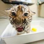 Los baños me enfadan.