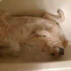 Esta espuma huele a flores. Siento que estoy rodando en un campo lleno de rosas.