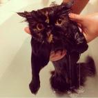 Esto es lo peor que me puede pasar.