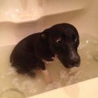 No era esto lo que tenía en mente cuando dijiste "burbujas".