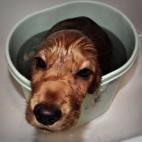 Creo que me quedaré aquí un rato.