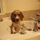 Ten cuidado siempre con la tempratura