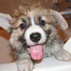 Estoy realmente bien aquí.