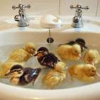 Nos agrada este cambio de escenario.