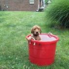 Yo siempre estoy conectado con la naturaleza.