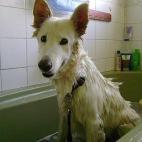 ¿Podría ondular las puntas, por favor?