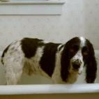 Tráeme una toalla es hora de la siesta.