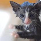 Nunca se es demasiado pequeño para bañarse.