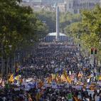 5c8a6a0c3b000037066bf366