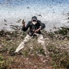 Henry Lenayasa, jefe del asentamiento de Archers Post, en el condado de Samburu, Kenia, intenta ahuyentar a un enjambre de langostas que asola la zona de pastoreo, el 24 de abril.