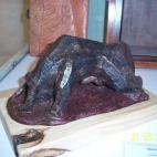 5c8aa71f2300002f00e6e76f