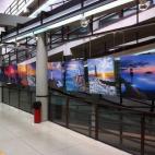 5c8aa720230000dd04236f6c