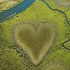 Al norte de Koné, muy cerca de la comuna de Voh en la provincia norte de Nueva Caledonia, hay un manglar que ha creado de manera natural una asombrosamente clara forma de corazón. Se puede apreciar solamente desde al aire, por lo que para verl...