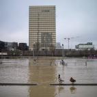 5c8a56b5230000040122fb03