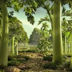 5c8a53fb2400006b054bb8ea