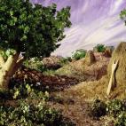 5c8a53fb2500000d04c8e872