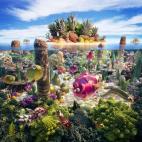 5c8a53fc250000e203c8e878