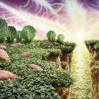 5c8a53fe240000f404a2f1fb