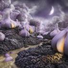 5c8a540020000043046f05be