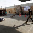 5c8a54c53b000070066bda1d