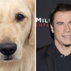 John Travolta
