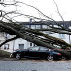 5c8a52922000009e046f038f