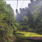 Divisar las montañas en las que están inspiradas las de la película Avatar desde este cablecar es una de las experiencias que no te puedes perder si viajas a China. El recorrido también se puede hacer andando si estas cargado de energía y q...