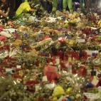 5c8a9cdc3b000070066c3437