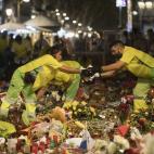 5c8a9cdd23000004012355b8