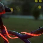 5c8aa1c42500000d04c95250