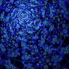 5c8ace5a250000520681c85e