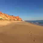 5c8a80632400006d054bed08