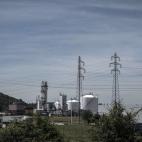 5c8b6c612300007f0124b1bf