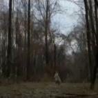 5c8aab9b2400006d054c3ad8