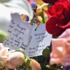 5c8aa1e2230000040123625e