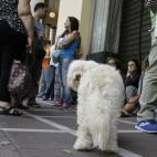 5c8b82d1360000ba1a6d43d0