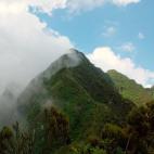 La supervivencia del parque peligra a causa de las perforaciones petroleras —su subsuelo es muy rico en este combustible fósil— y de los conflictos que agitan el país.
