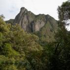 Desde hace siglos, es el sueño de todo naturalista, pero la deforestación amenaza este formidable ecosistema.