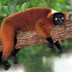 5c8a6c302400006b054bd649