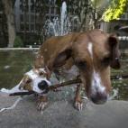 5c8aa1f52400006b054c224d