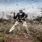 Vida Salvaje y Naturaleza: Luis Tato (España)